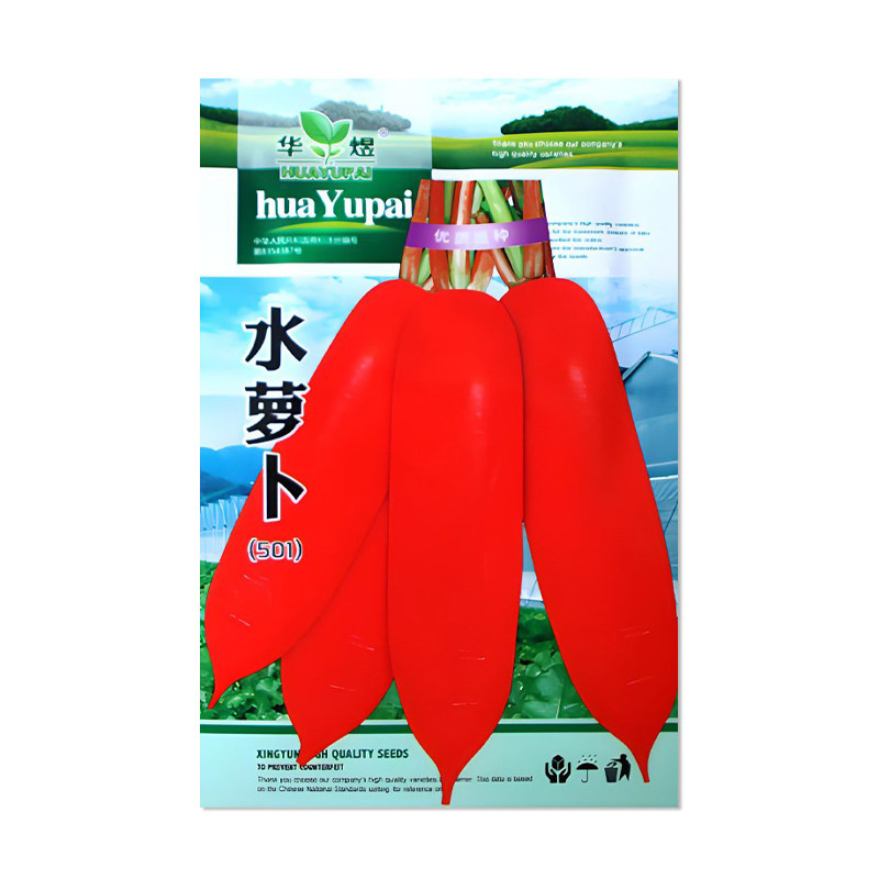 华煜501水萝卜种子蔬菜籽