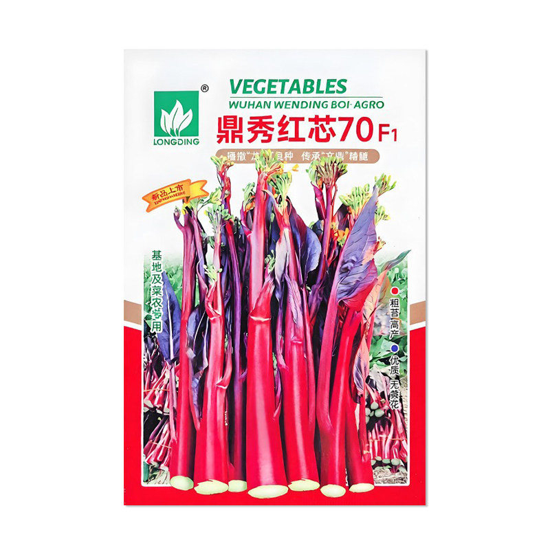 鼎秀红芯70红菜苔种子