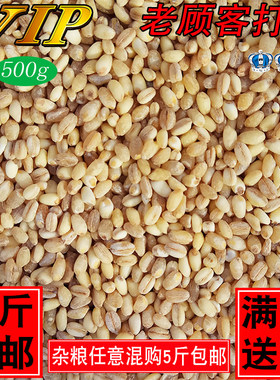 2025年新东北小麦仁\大麦仁五谷