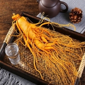 森美仁长白山特大保鲜参东北特产吉林人参园参泡酒人参煲汤火锅参