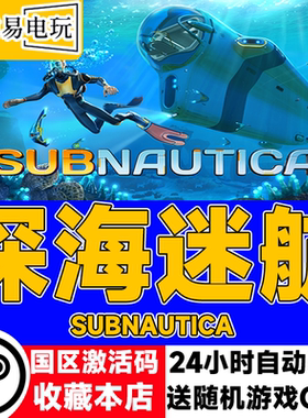 steam正版 深海迷航 /深海迷航：冰点之下 国区激活码 cdkey