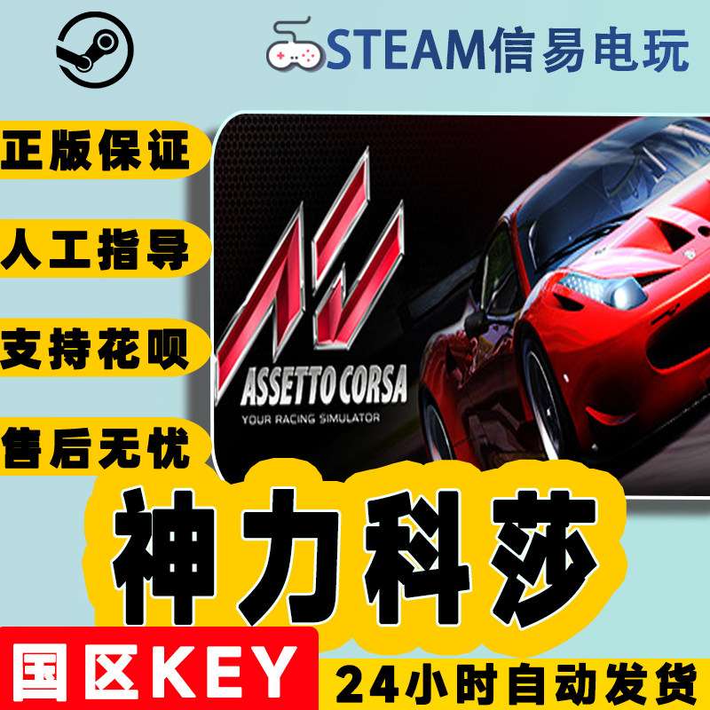 PC中文正版 steam游戏 Assetto Corsa 拟真赛
