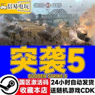 steam正版 突袭5 Sudden Strike 5 国区激活码
