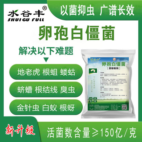 水谷丰卵孢白僵菌布氏白僵菌地下害虫农用广谱微生物菌剂地老虎等