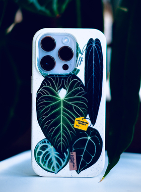 橘星高照 花烛手机壳适用于苹果iPhone14promax保护壳热植周边原创设计帝王克莱恩火鹤后热带植物小众潮牌