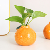 田园风陶瓷仿真橘子花瓶养水绿箩铜钱草水培花盆家具桌摆装 饰摆件