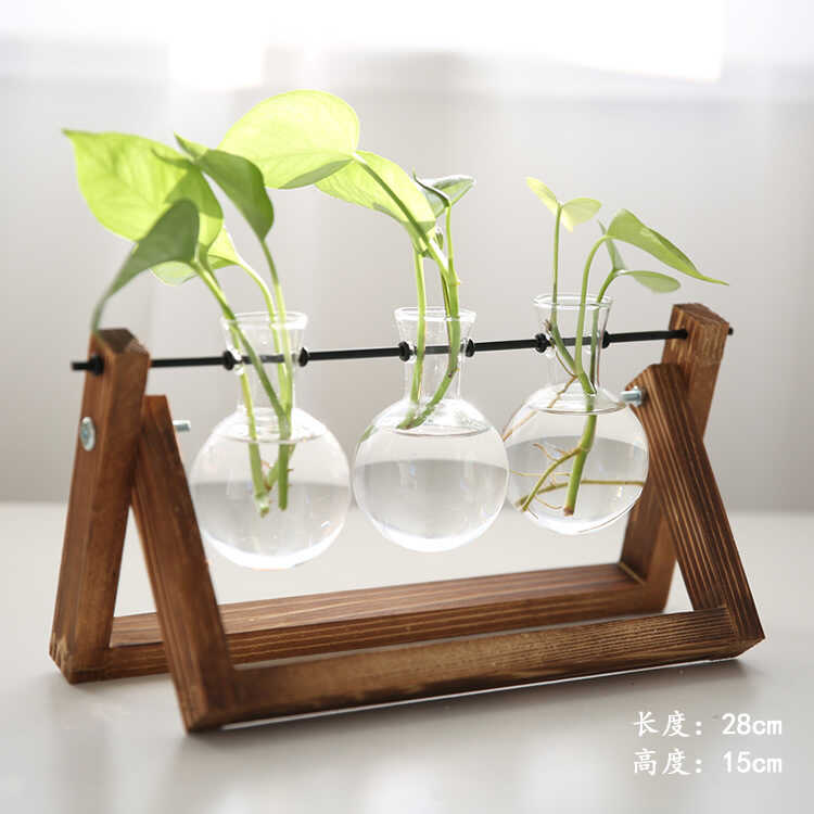 创意木架装饰品水培绿萝水培摆件