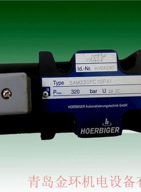 SAM220PC10P HV04290 SAM220PC06PG S0973 HV08417 HOERBIGER