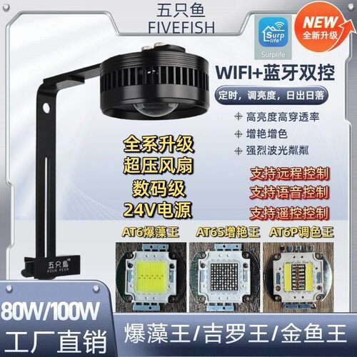 五只鱼吉罗灯原生缸爆藻