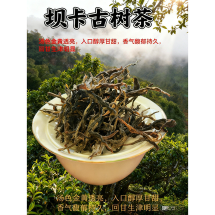 勐库茶行 坝卡古树茶 散茶 2025年