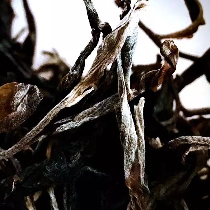 小户赛 普洱茶茶样 生茶30克一袋 小户赛 醇甜耐泡 上新优惠