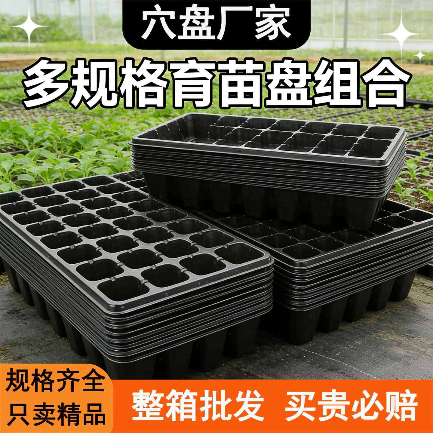 育苗盘穴盘育苗盆育苗盒扦插盒蔬菜种子专用盘辣椒多肉苗盘