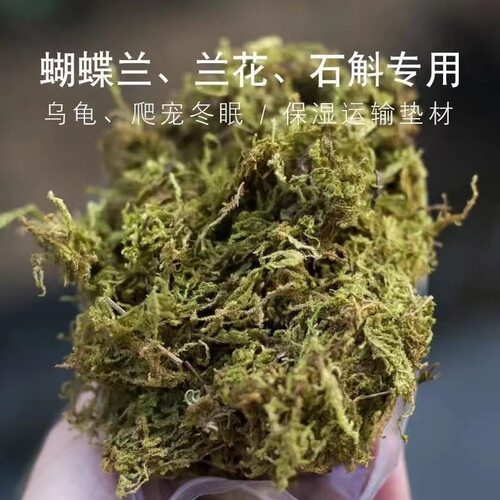 百宝园艺青苔干苔藓买就送玉肥