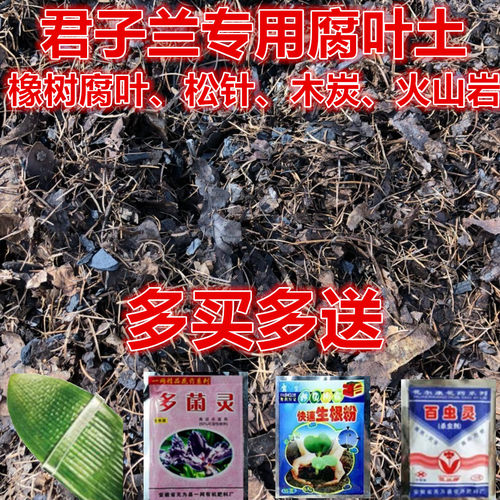 长春一芳君子兰专业营养土
