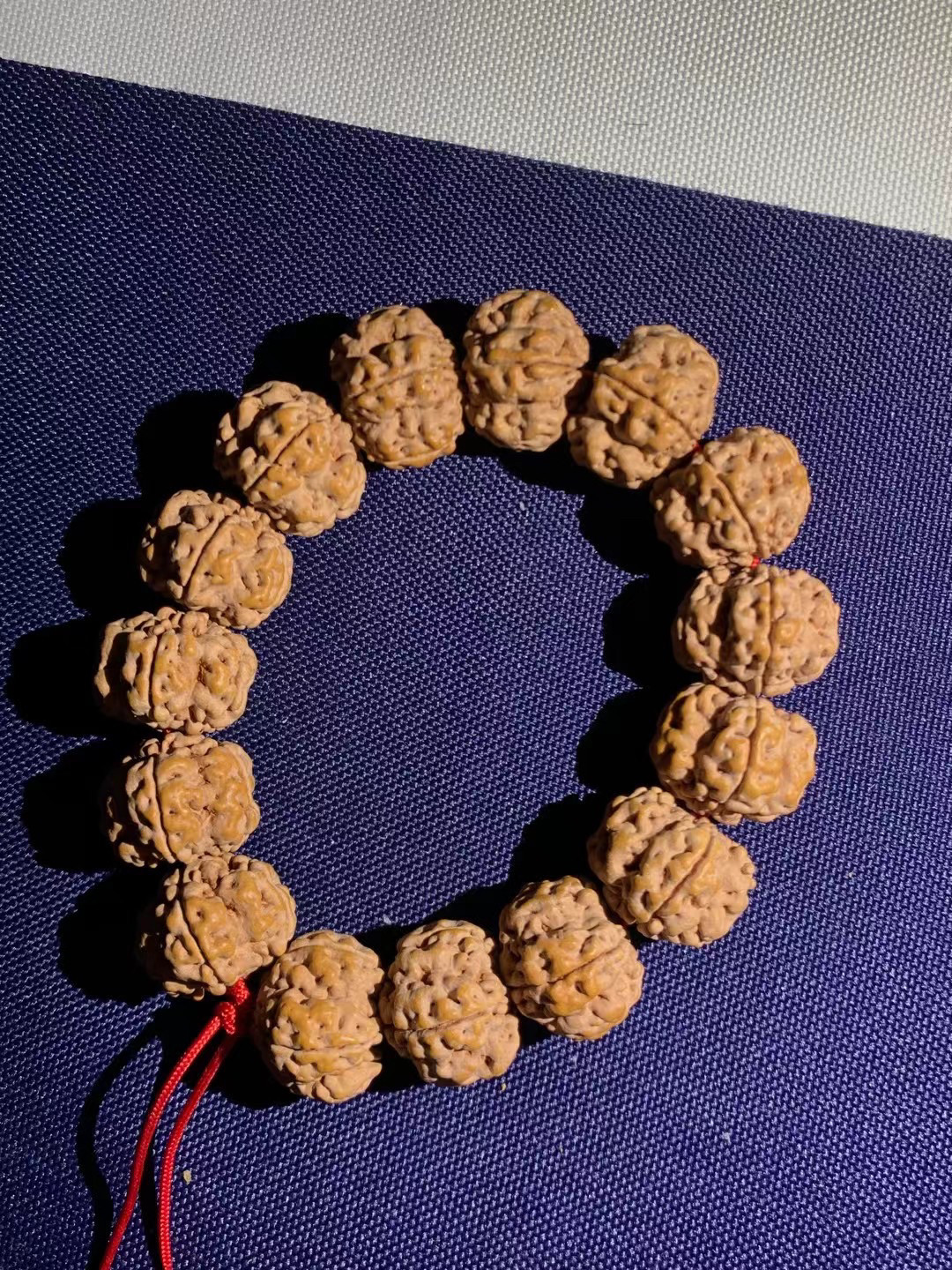 原生态帝王花小金刚菩提手串梅花龙脊突出姜黄皮油籽原籽无修图片