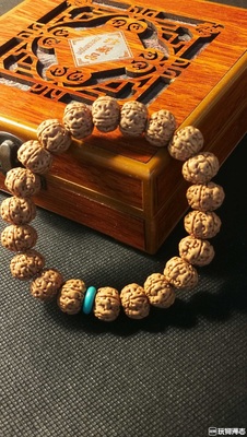 王者南瓜5瓣小金刚菩提手串单圈纯天然原生态原桩无修矮桩 南瓜桩