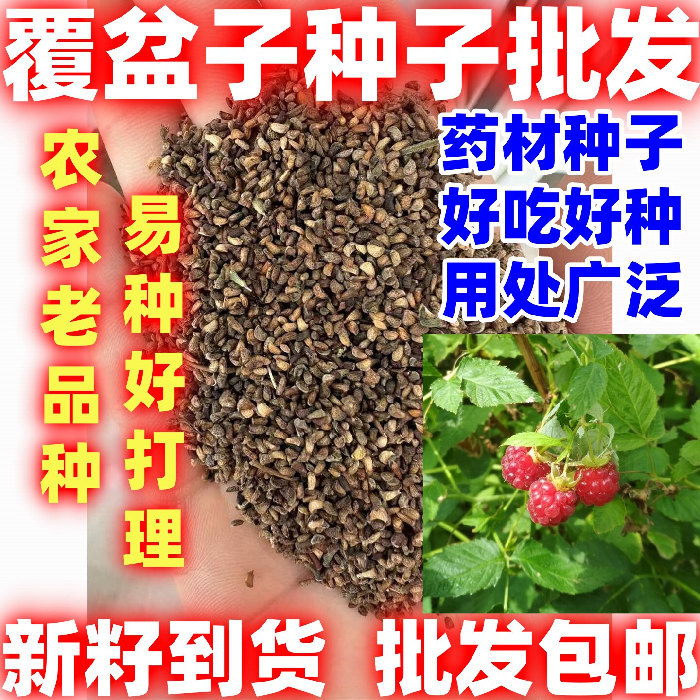 中药材好吃覆盆子天然无硫覆盆子种子好种悬钩子复盆子干果覆盆子