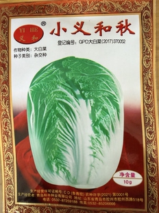 小义和秋大白菜种子原装山东北方胶州秋季冬储精品种籽辣白菜泡菜