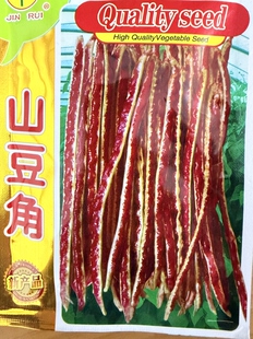 山豆角种籽农家传统花皮豇豆种子山东自留老品种高产好吃