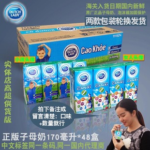 越南进口 48盒 LADY子母奶170ml 荷兰DUTCH 甜牛奶二味可选饮品钙