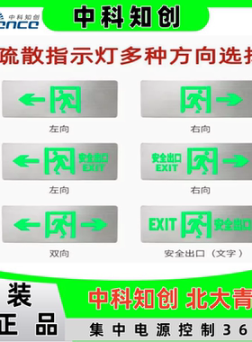 北大青鸟 中科知创 应急疏散标志灯安全出口  指示牌 左向右向