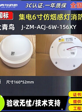 新国标北大青鸟防烟感应急灯 J-ZM-ACJ-6W-156XY消防应急照明灯具