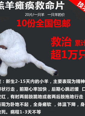 小羊腿软急救片羔羊瘫软白肌软瘫灵膏羊软骨灵软腿症发软呆立不吃