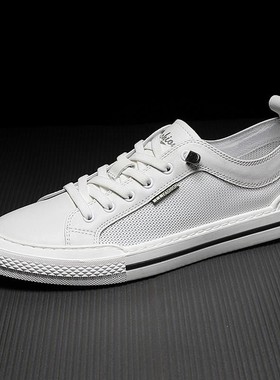 夏季透气小白鞋男薄款2025新款网面百搭白色真皮牛皮真皮休闲板鞋
