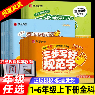 华夏万卷三步写好规范字一二年级上下册楷书笔画笔顺每日一练三四五六年级人教版课本同步练字帖小学生专用一类字硬笔书法描红字帖