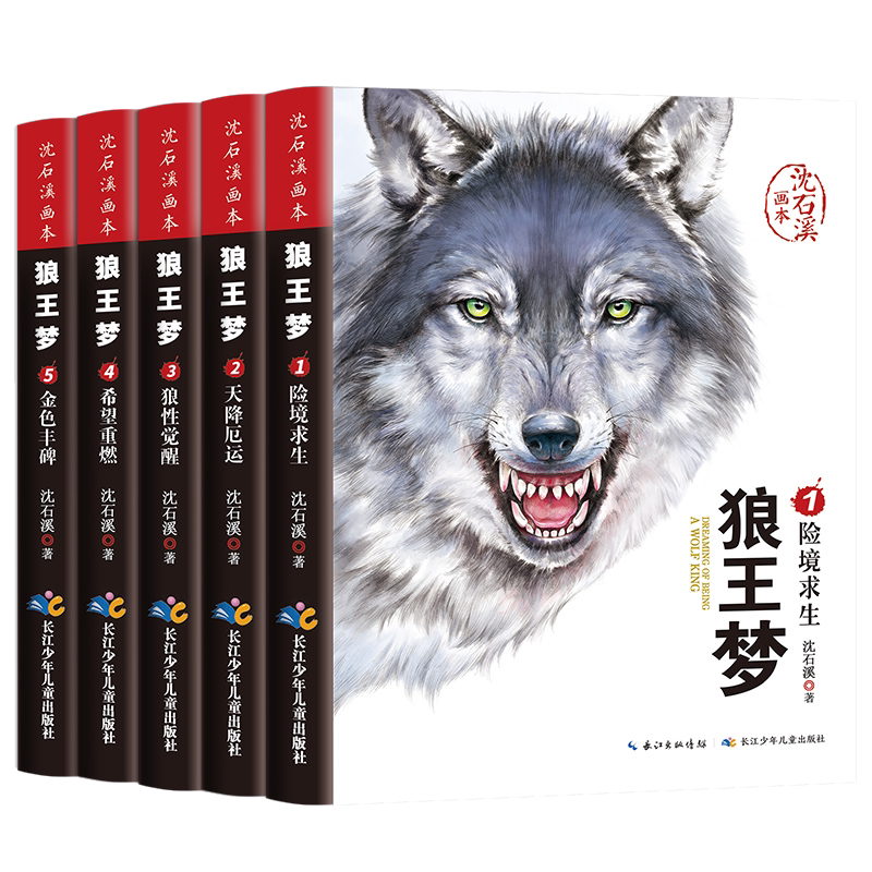 狼王梦正版全套5册沈石溪