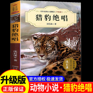 猎豹绝唱-中外动物小说精品(升级版) 沈石溪 安徽少年儿童出版社