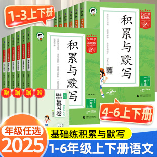 训练 53小学基础练语文积累与默写三年级上册下册一年级二年级四年级五年级六年级小学基础题看拼音写词语汉语句式 2025秋季 新版