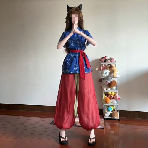 中华娘套装武侠风立领旗