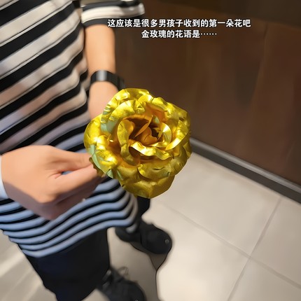 三角洲行动周边红狼蚀金玫瑰游戏非洲之心模型非洲之星钻石道具