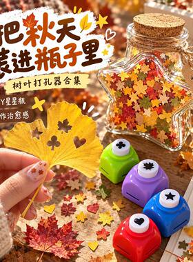 剪秋diy星星瓶树叶按压打
