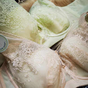 小妇人高档软糯刺绣蚕丝抑菌美肤无钢圈夏季薄款内衣文胸