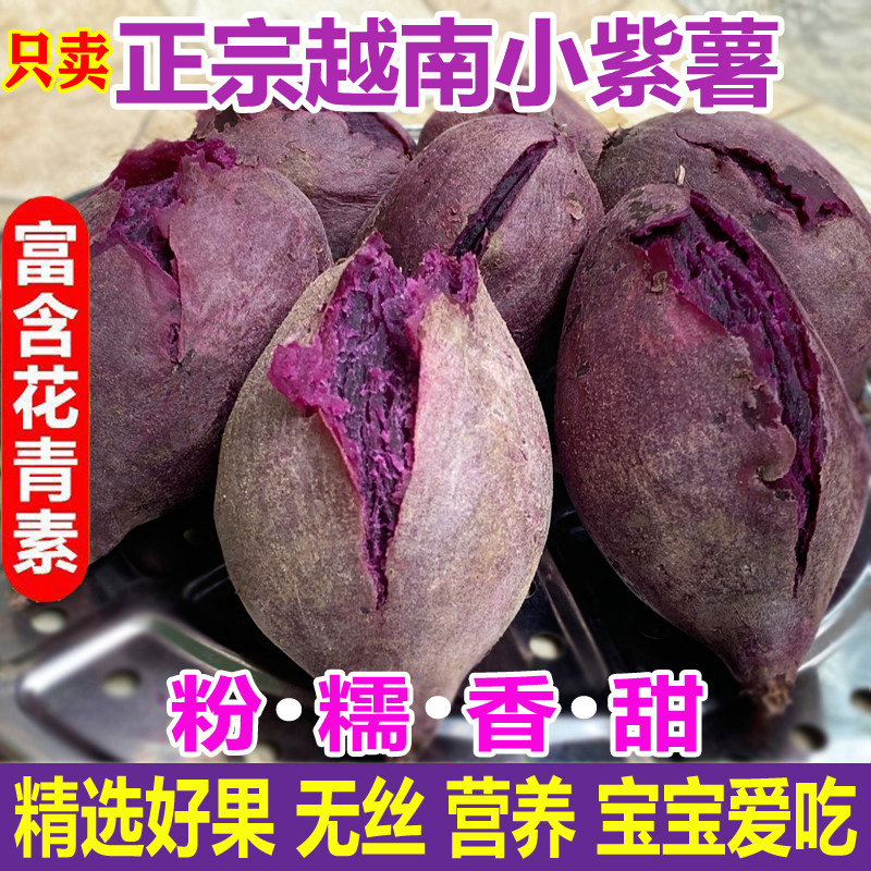 正宗越南小紫薯新鲜农家自种精品小个圆珍珠纯正现挖紫薯粉糯甜薯