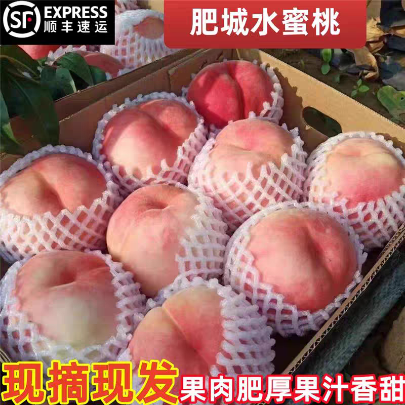 山东肥城桃水蜜桃新鲜大桃子现摘脆甜大毛桃当季水果软甜整箱顺丰