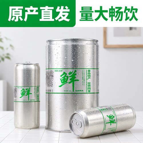 10L桶大装白啤酒青岛产地直发大容量礼盒家庭装聚会20斤