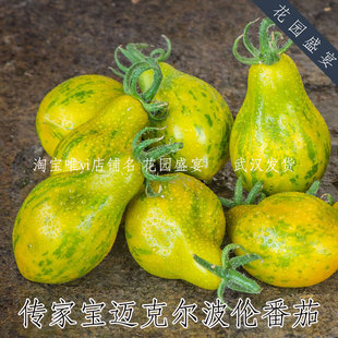 买1送1 传家宝迈克尔波伦番茄薄荷朱丽普番茄可留种高产味美彩色