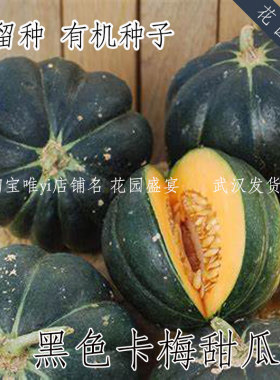买1送1 有机种可留种法国黑色卡梅甜瓜种进口黑色甜瓜易种植高产