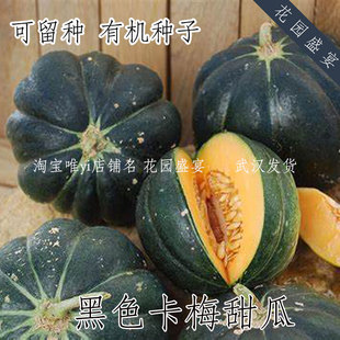买1送1 有机种可留种法国黑色卡梅甜瓜种进口黑色甜瓜易种植高产
