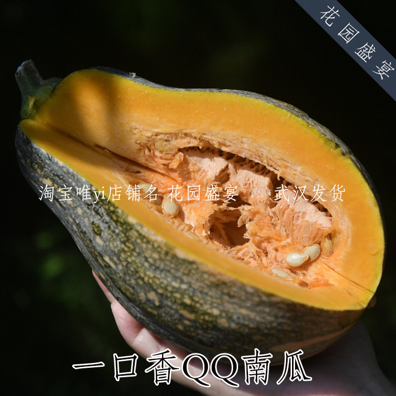 一口香qq南瓜种子高产板栗粉糯抗病小南瓜种籽四季蔬菜种
