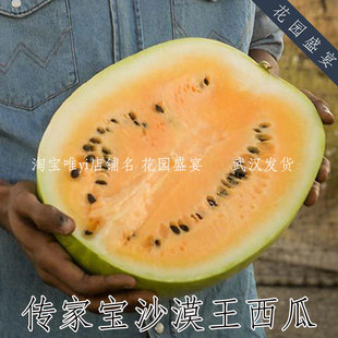 10-15粒传家宝甜西瓜沙漠王种子多汁耐旱可留种美国进（包发芽）
