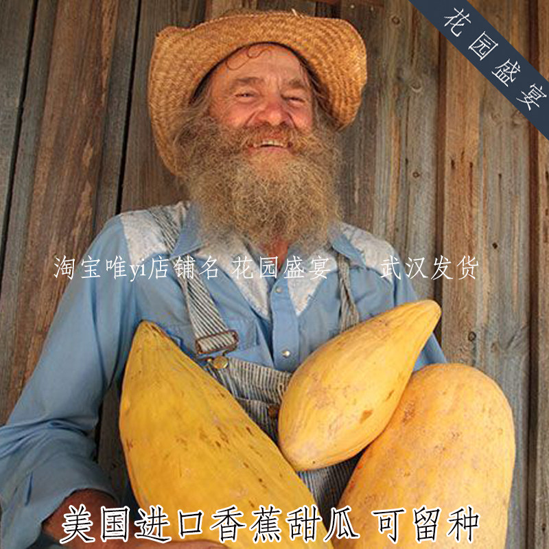 可留种老品种很甜很香香蕉甜瓜种子4粒美国传家宝进口,鲜花速递/花卉仿真/绿植园艺,家庭园艺种子,淘宝优惠券,粉丝福利购,淘宝优惠卷