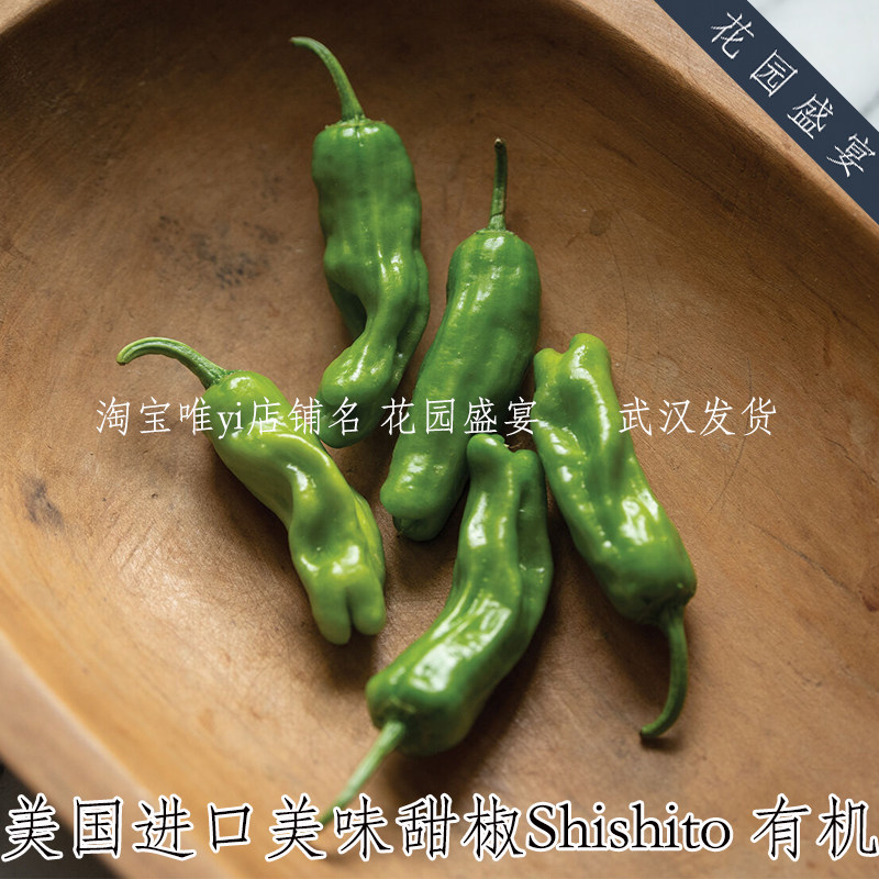 超高产！有机小甜椒shishito狮子唐种子美味皮薄可留种美国进口
