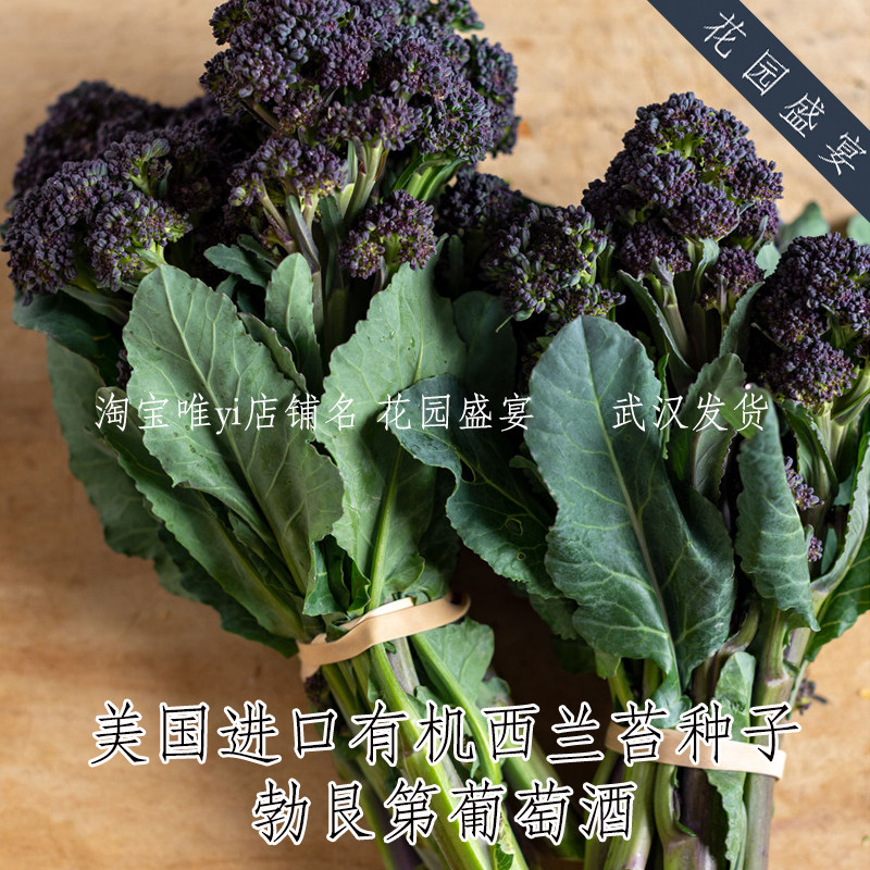 F1高产紫色西兰苔勃艮第葡萄酒种子5粒 高产 盆栽 美味 进口