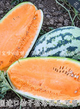 甜蜜桔色大西瓜种子桔子格洛桔子洛洛西瓜传家宝进口可留种