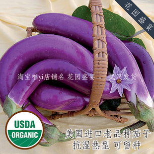 传家宝屏东长茄子种子5粒 抗湿热早熟 老品种可留种 保真美国进口