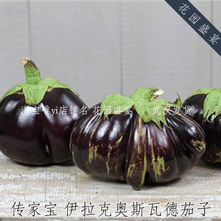 6粒传家宝伊拉克奥斯瓦德茄子种子进口可留种高产甜嫩耐热可留种